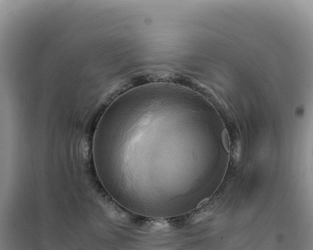 X0000094370715200711091538