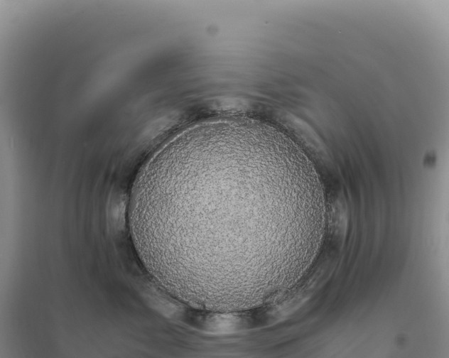 X0000094370717200711091538