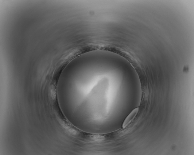 X0000094370719200711091538