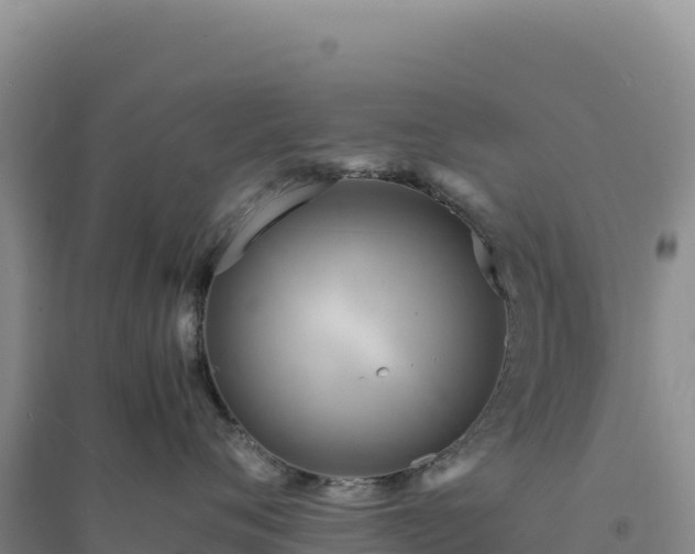 X0000094370720200711091538