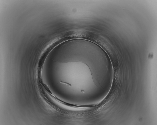 X0000094370722200711091537