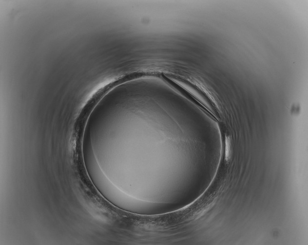 X0000094370723200711091537