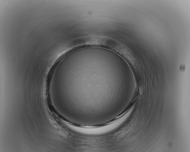 X0000094370724200711091537