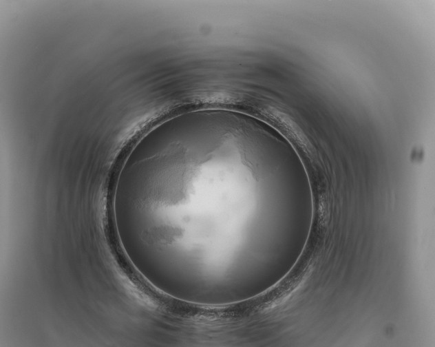 X0000094370725200711091537
