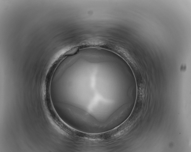 X0000094370726200711091537