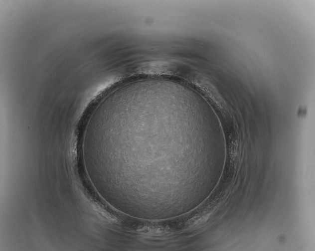 X0000094370727200711091537