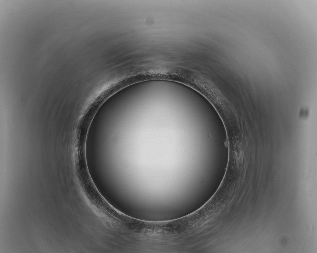 X0000094370728200711091537