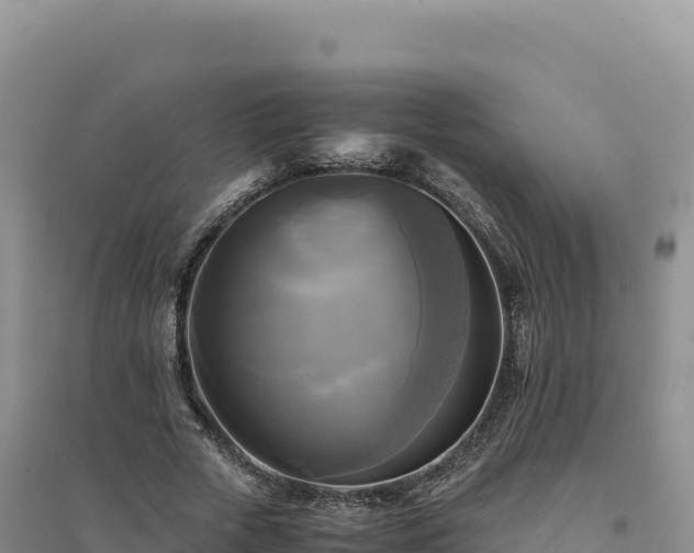 X0000094370729200711091537