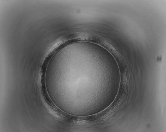 X0000094370730200711091537