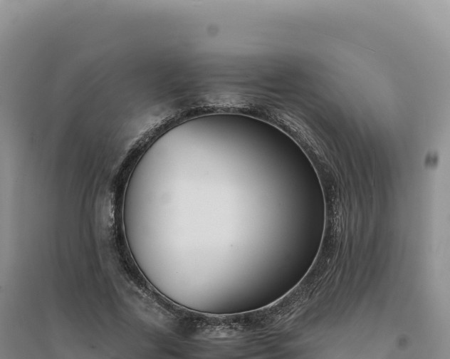 X0000094370731200711091537