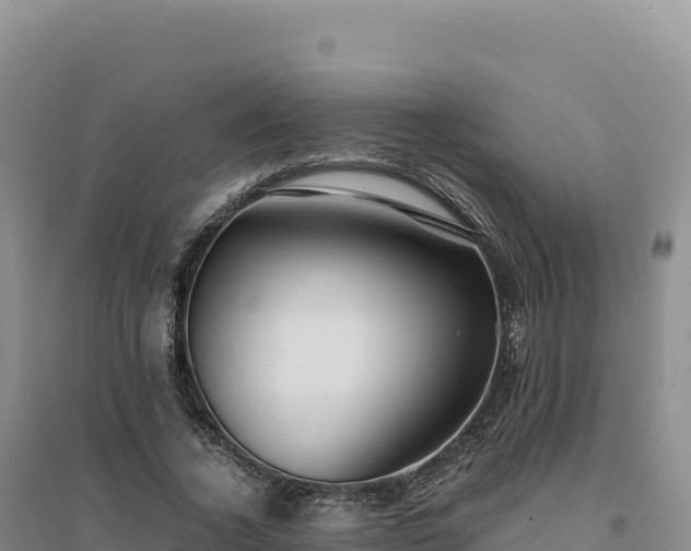 X0000094370732200711091537