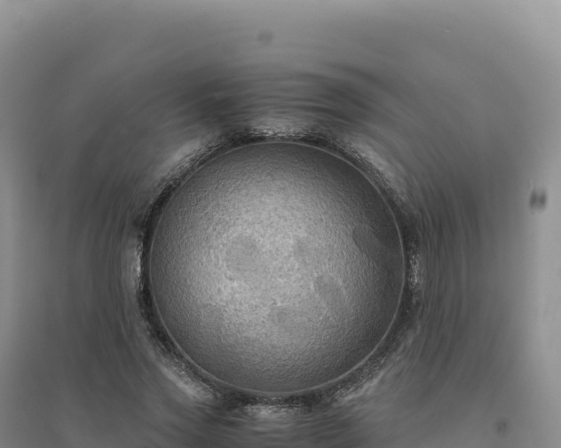 X0000094370733200711091537