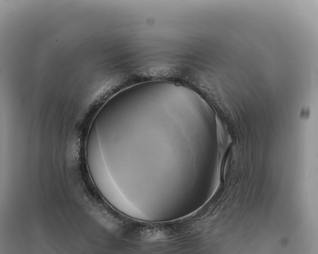 X0000094370735200711091537