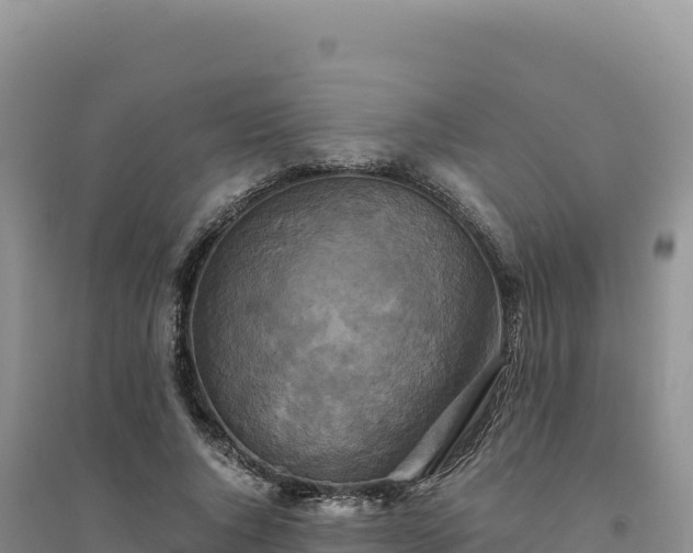X0000094370736200711091537