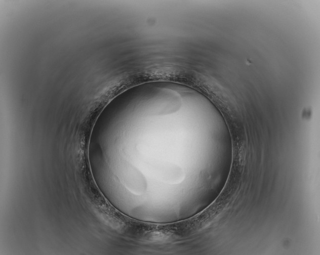 X0000094370737200711091537