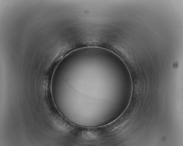 X0000094370739200711091537