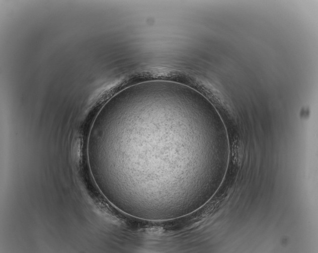 X0000094370740200711091537