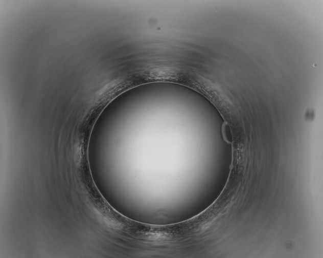 X0000094370741200711091537