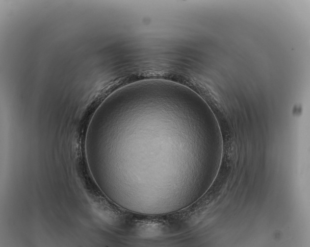 X0000094370743200711091537