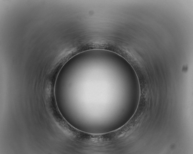 X0000094370744200711091537