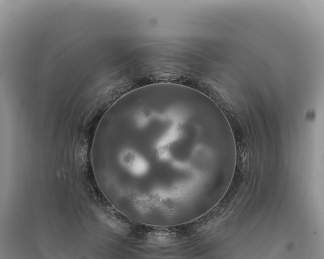 X0000094370745200711091537