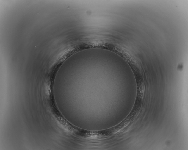 X0000094370746200711091537