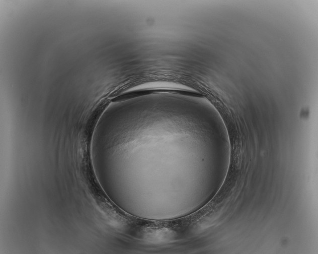 X0000094370747200711091537