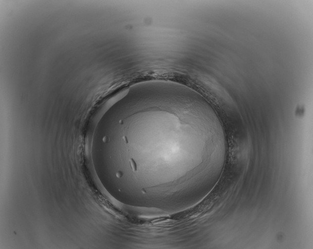 X0000094370748200711091537