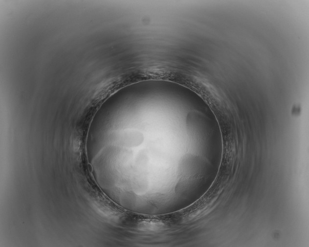 X0000094370749200711091537