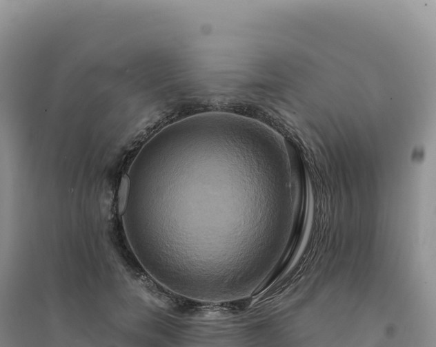 X0000094370750200711091537