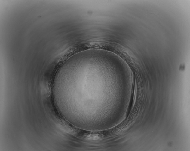 X0000094370751200711091537