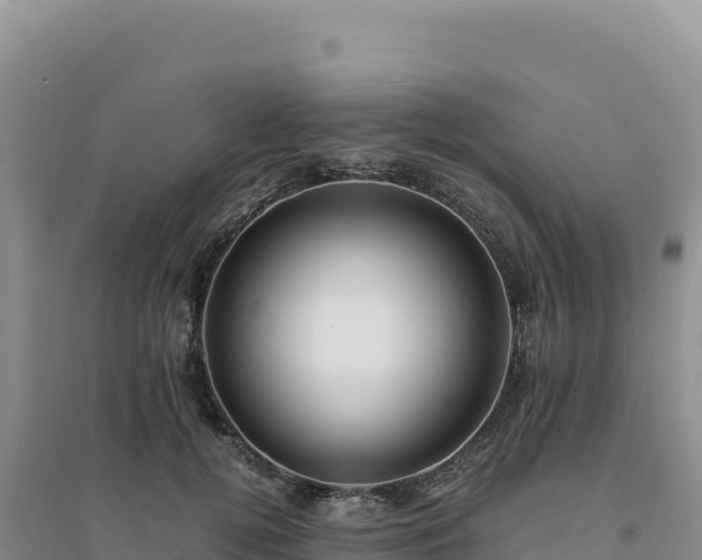 X0000094370752200711091537