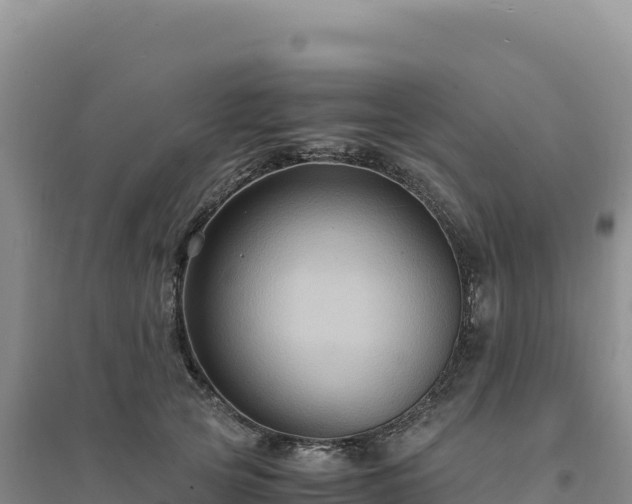 X0000094370753200711091537