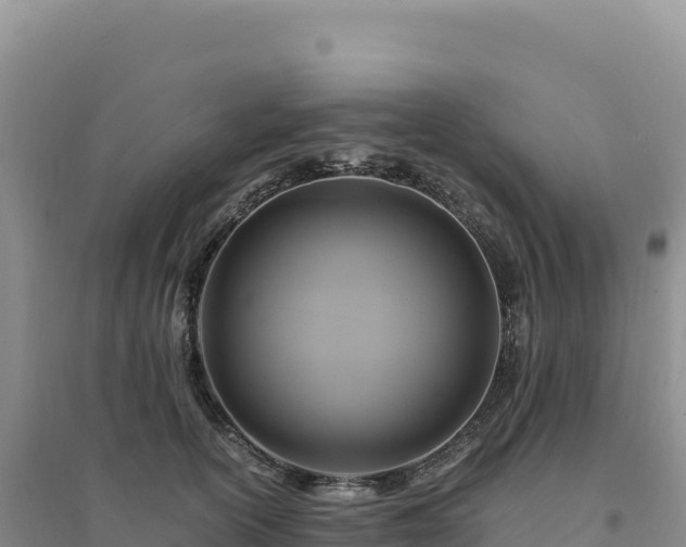 X0000094370754200711091537