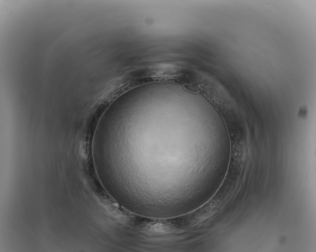 X0000094370755200711091537