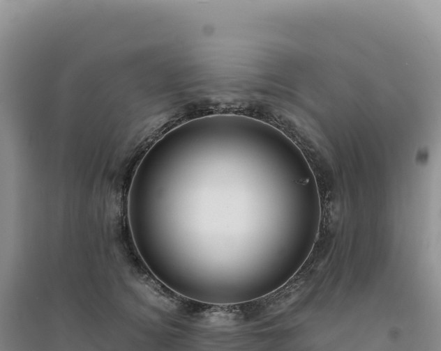 X0000094370756200711091537