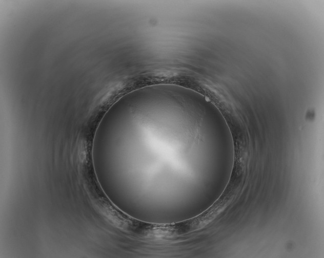X0000094370758200711091537