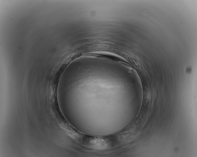 X0000094370759200711091537