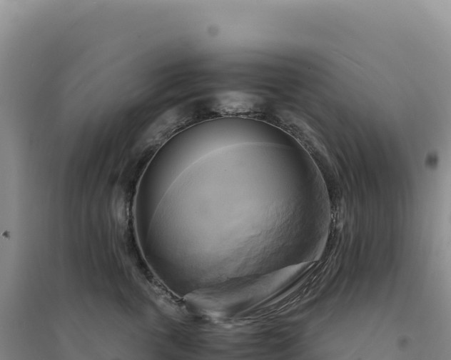 X0000094370763200711091538