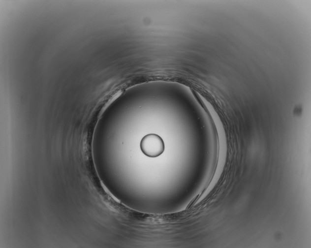 X0000094370764200711091538