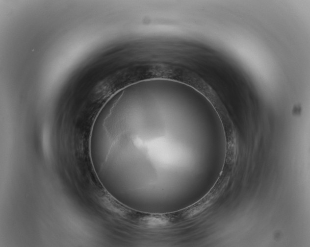 X0000094370765200711091538