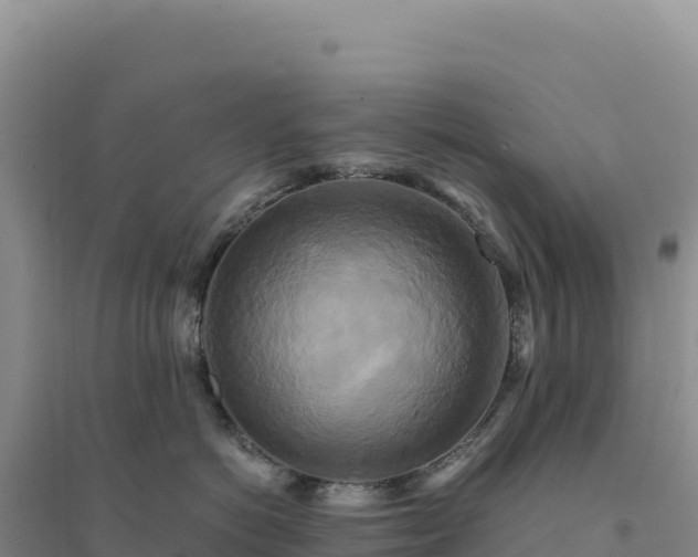 X0000094370766200711091538