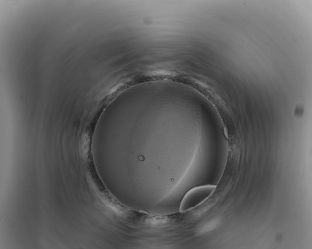 X0000094370767200711091538