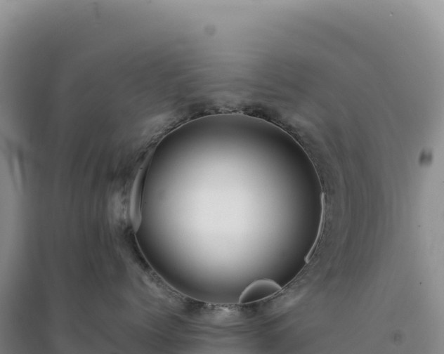 X0000094370768200711091538