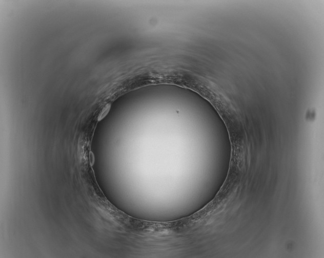 X0000094370770200711091537