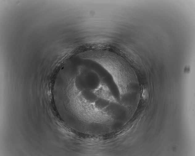 X0000094370771200711091537