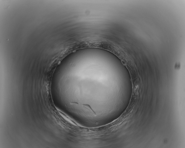 X0000094370772200711091537