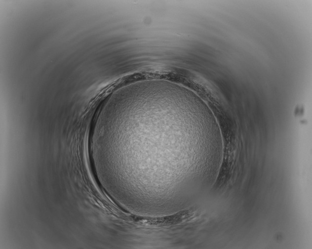 X0000094370773200711091537