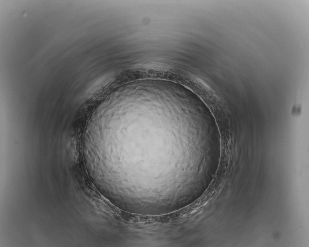 X0000094370774200711091537