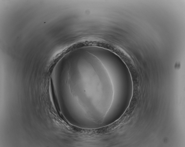 X0000094370775200711091537